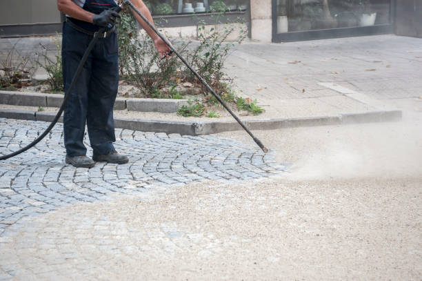 Best Boat and Dock Cleaning  in Poydras, LA